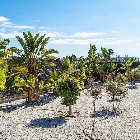 Вилла Oasis *